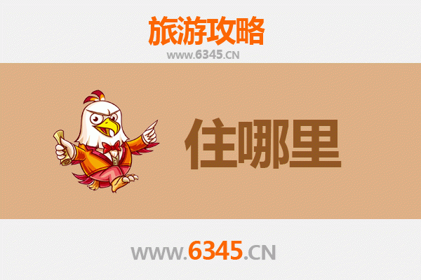 河南旅游民宿全攻略：古韵与现代的完美交融